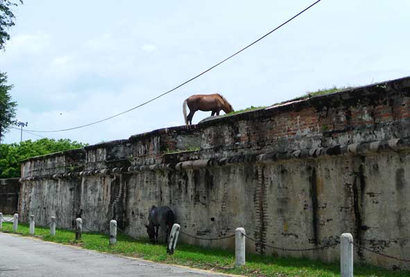 some local residents