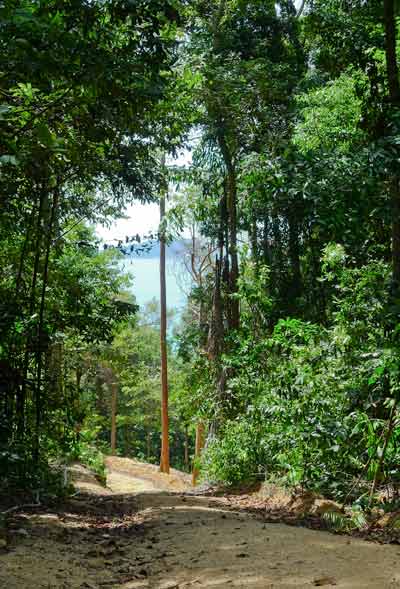 the start of a jungle trek across the island