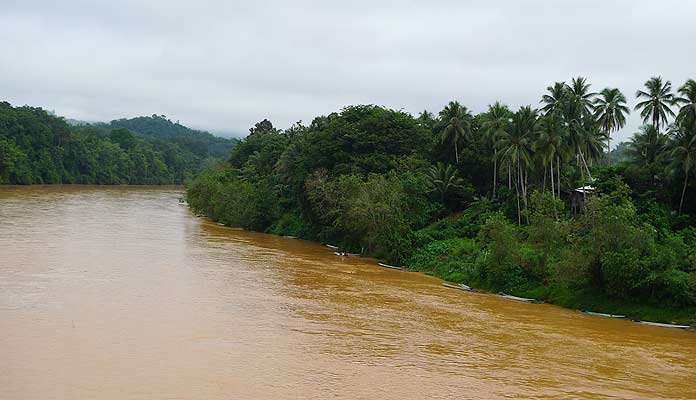 every river we saw in malaysia was roughly this color