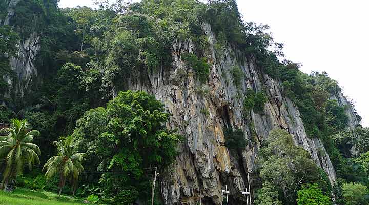 gua musang