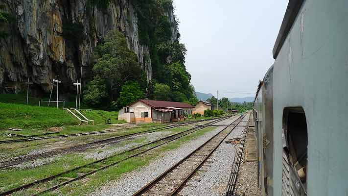 gua musang