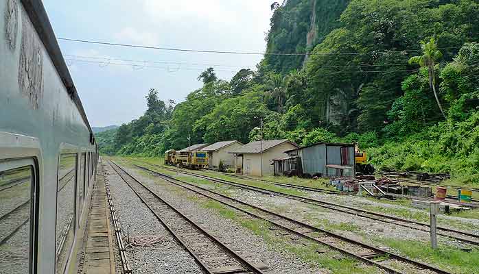 gua musang