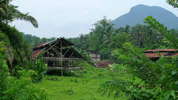 plantation buildings